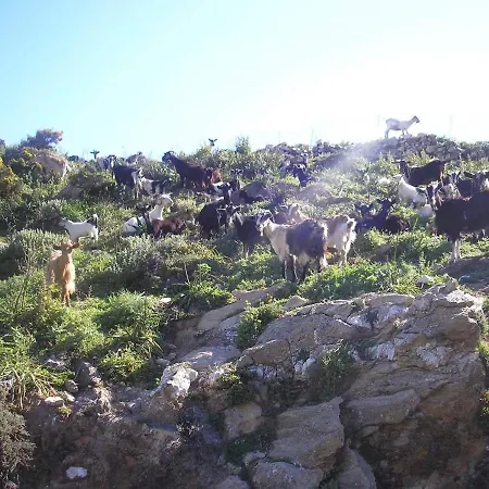 Traditional Family House, Ground Floor With Yard 度假居 Koronos