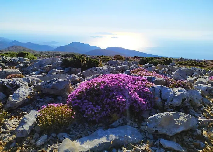 Traditional Family House, Ground Floor With Yard 度假居 Koronos