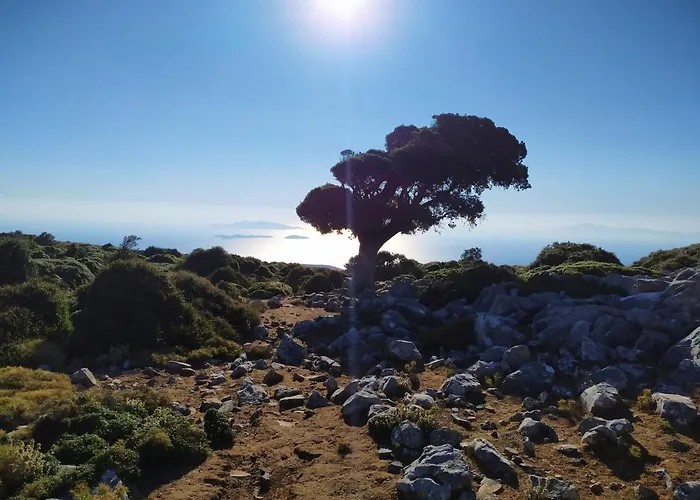 Traditional Family House, Ground Floor With Yard 度假居 *