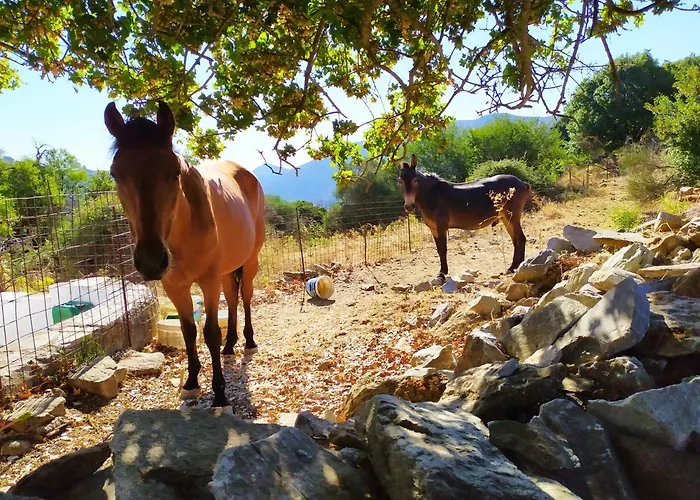 度假居 Traditional Family House, Ground Floor With Yard *