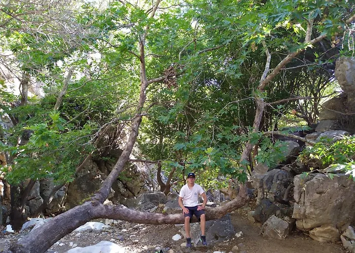 Traditional Family House, Ground Floor With Yard 度假居 Koronos