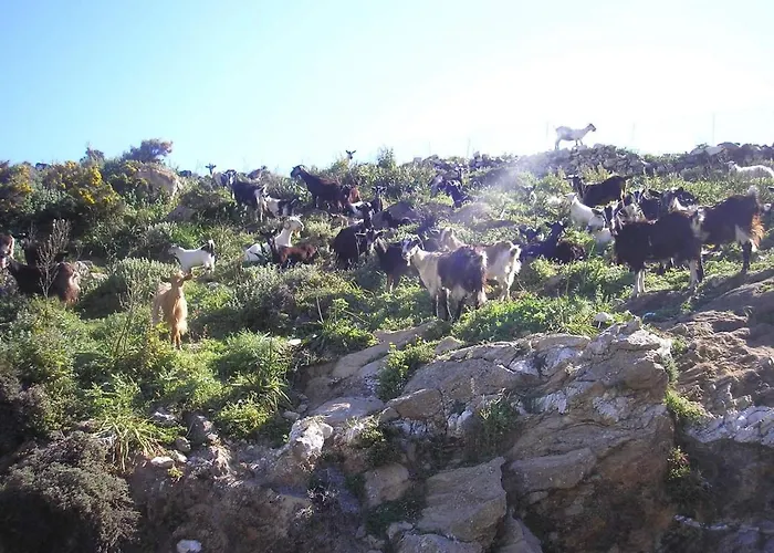 Traditional Family House, Ground Floor With Yard 度假居 Koronos